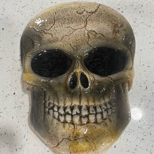 Spirit Halloween Skeleton Skull Party Plate  SPOOKY